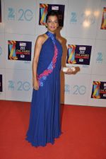 Mugdha Godse at Zee Awards red carpet in Mumbai on 6th Jan 2013 (112).JPG